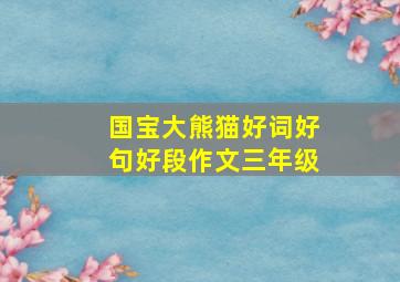 国宝大熊猫好词好句好段作文三年级