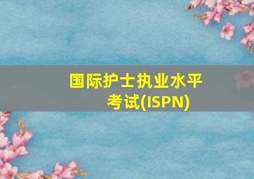 国际护士执业水平考试(ISPN)