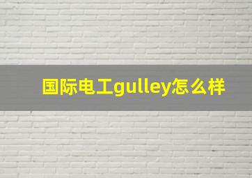 国际电工gulley怎么样