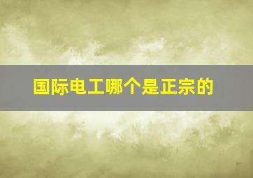 国际电工哪个是正宗的