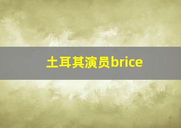 土耳其演员brice