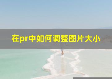 在pr中如何调整图片大小