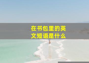 在书包里的英文短语是什么