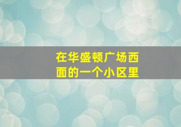 在华盛顿广场西面的一个小区里