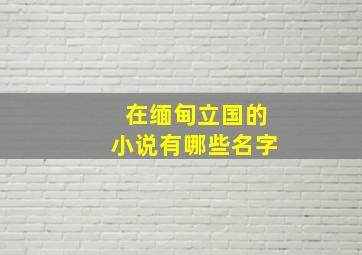 在缅甸立国的小说有哪些名字