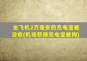 坐飞机2万毫安的充电宝被没收(机场怒摔充电宝被拘)