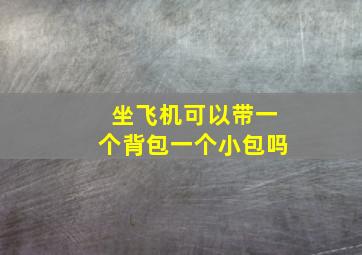 坐飞机可以带一个背包一个小包吗