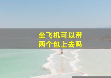 坐飞机可以带两个包上去吗