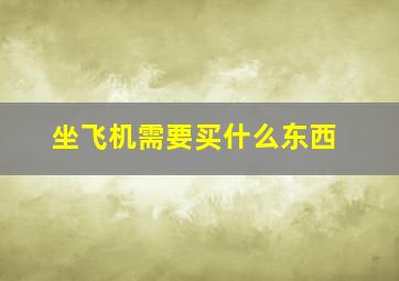 坐飞机需要买什么东西