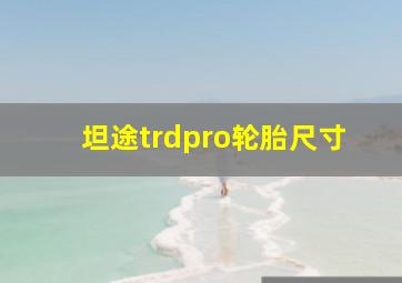 坦途trdpro轮胎尺寸