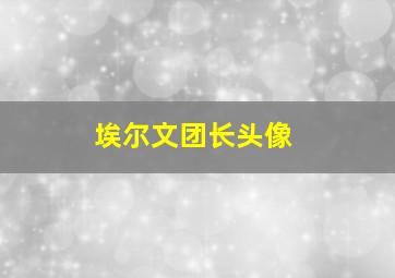 埃尔文团长头像