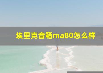 埃里克音箱ma80怎么样