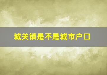 城关镇是不是城市户口