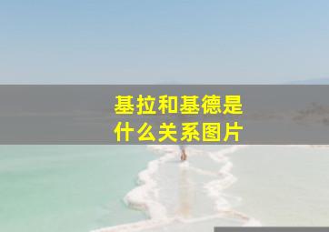 基拉和基德是什么关系图片