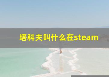 塔科夫叫什么在steam