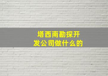 塔西南勘探开发公司做什么的