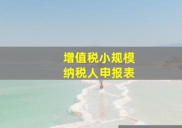 增值税小规模纳税人申报表