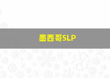 墨西哥SLP