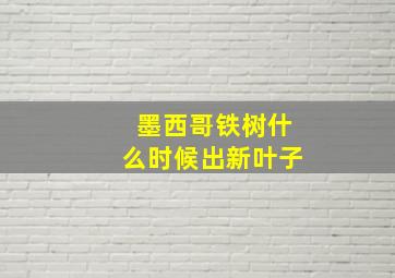 墨西哥铁树什么时候出新叶子