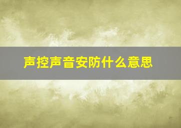 声控声音安防什么意思