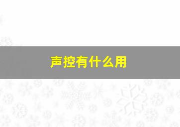 声控有什么用