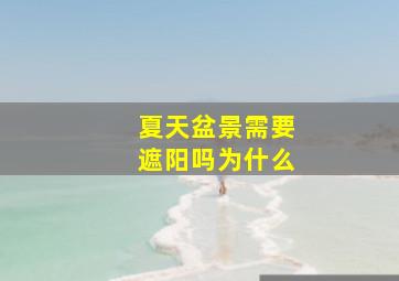 夏天盆景需要遮阳吗为什么