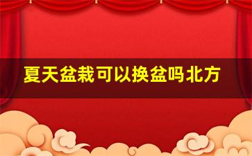 夏天盆栽可以换盆吗北方