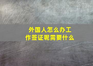 外国人怎么办工作签证呢需要什么