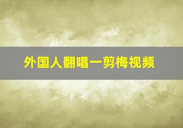 外国人翻唱一剪梅视频