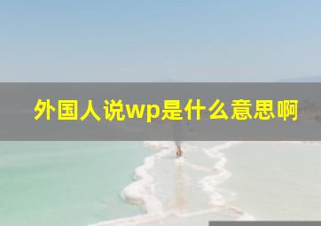 外国人说wp是什么意思啊