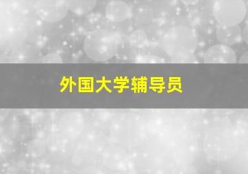 外国大学辅导员