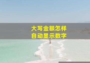 大写金额怎样自动显示数字