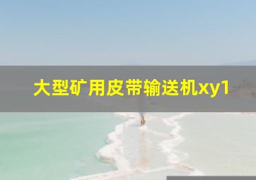 大型矿用皮带输送机xy1