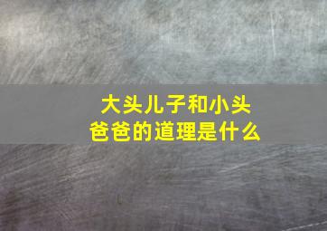 大头儿子和小头爸爸的道理是什么