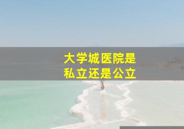 大学城医院是私立还是公立