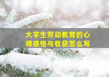 大学生劳动教育的心得感悟与收获怎么写