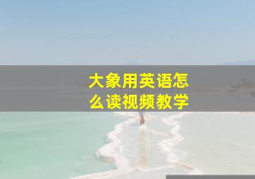 大象用英语怎么读视频教学