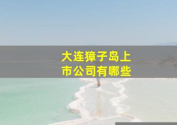 大连獐子岛上市公司有哪些