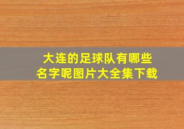 大连的足球队有哪些名字呢图片大全集下载