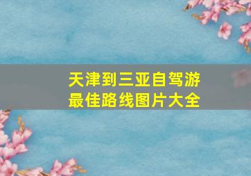 天津到三亚自驾游最佳路线图片大全