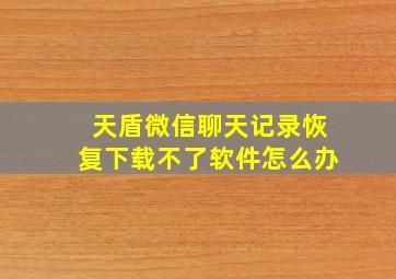 天盾微信聊天记录恢复下载不了软件怎么办