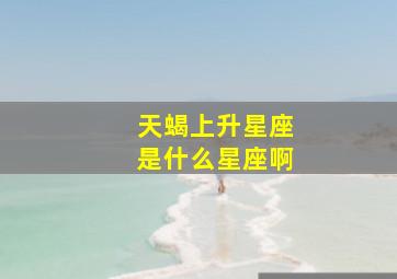 天蝎上升星座是什么星座啊