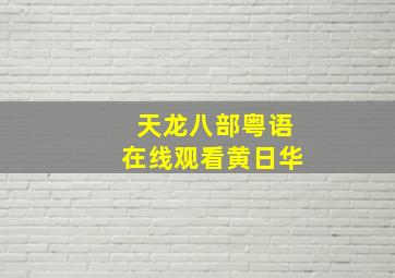 天龙八部粤语在线观看黄日华