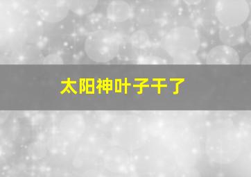 太阳神叶子干了