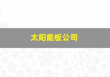 太阳能板公司