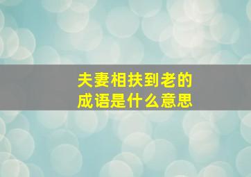 夫妻相扶到老的成语是什么意思