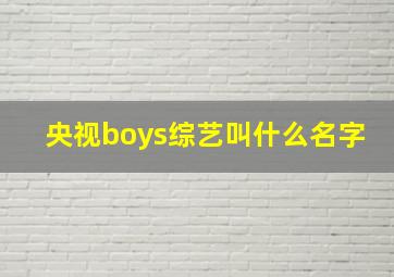 央视boys综艺叫什么名字