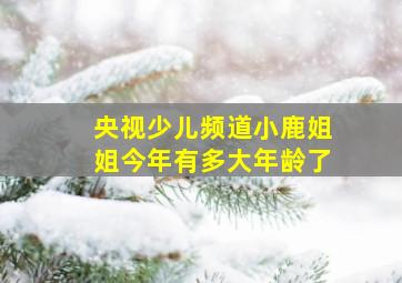 央视少儿频道小鹿姐姐今年有多大年龄了