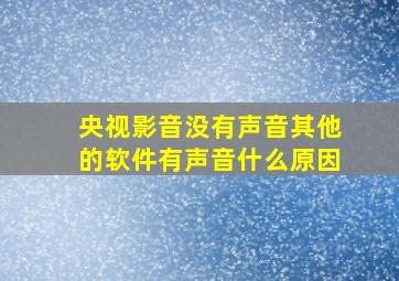 央视影音没有声音其他的软件有声音什么原因