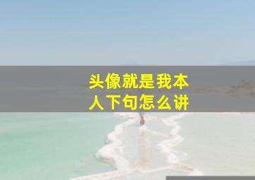 头像就是我本人下句怎么讲